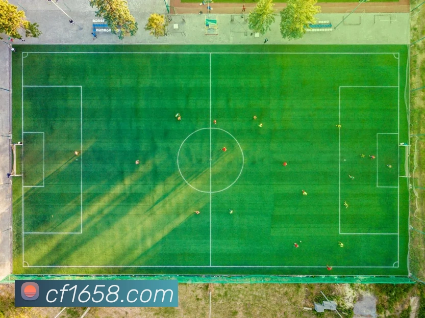 奖项图1